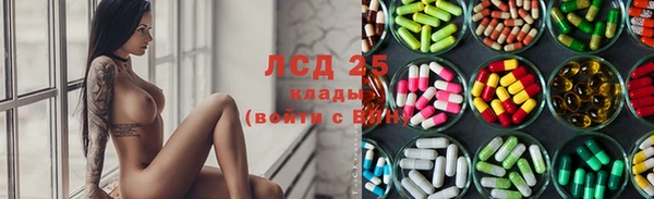 кокс Алексин