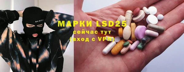 прущий лед Алзамай