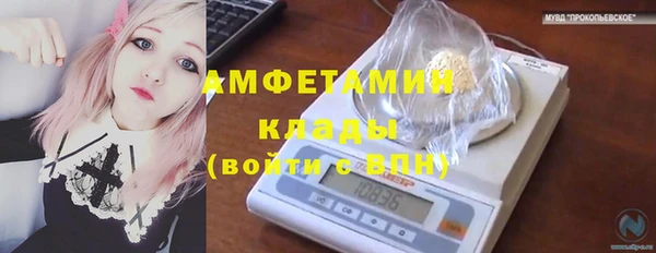 ПСИЛОЦИБИНОВЫЕ ГРИБЫ Новозыбков