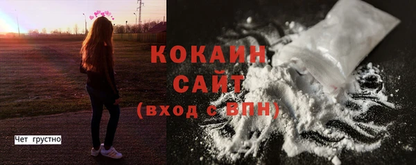 кокс Алексин