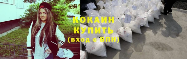 прущий лед Алзамай